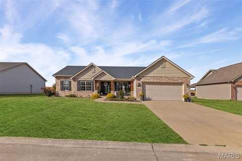 5539 Willow Crossing Street, Smithton, IL 62285