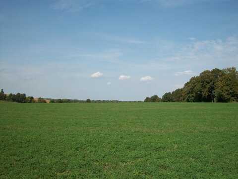 Lt4 Wilson Dr, Allenton, WI 53002