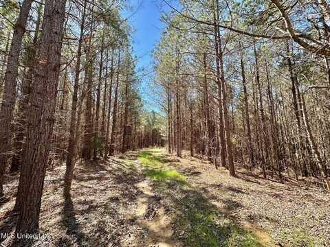 2 County Road 5112, Ethel, MS 39067
