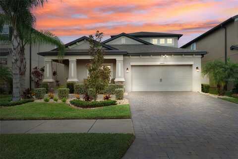 19433 REDWOOD POINT DRIVE, TAMPA, FL 33647