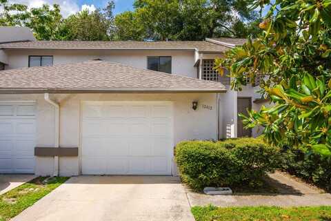 12412 TITUS COURT, TAMPA, FL 33612