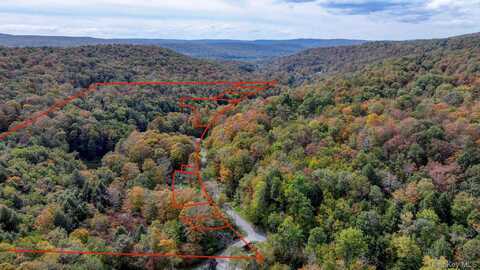 Grooville Road, Livingston Manor, NY 12758