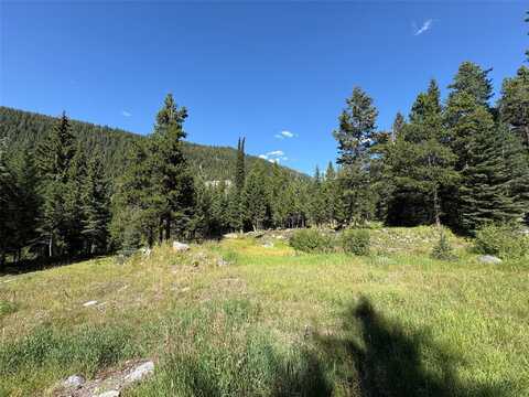 70 Shedhorn Lane, Philipsburg, MT 59858