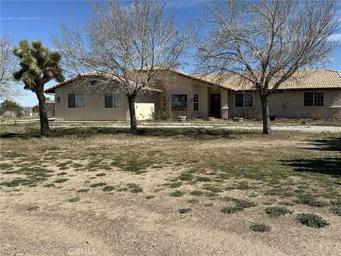 10191 Bellflower Street, Oak Hills, CA 92344