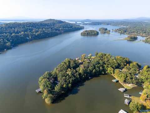 10 County Road 479, Cedar Bluff, AL 35959