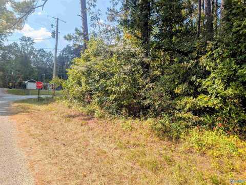 Lot 1 County Road 249, Leesburg, AL 35983