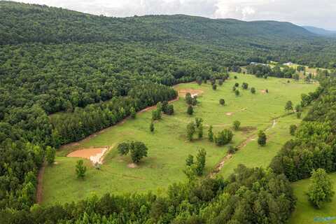 7805-b Owls Hollow Road, Gadsden, AL 35901