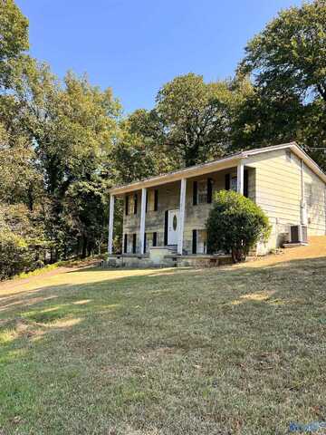 3625 South Valley Road, Southside, AL 35907