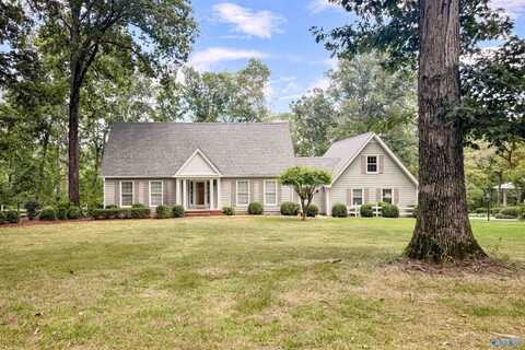480 Wildwood Way, Somerville, AL 35670