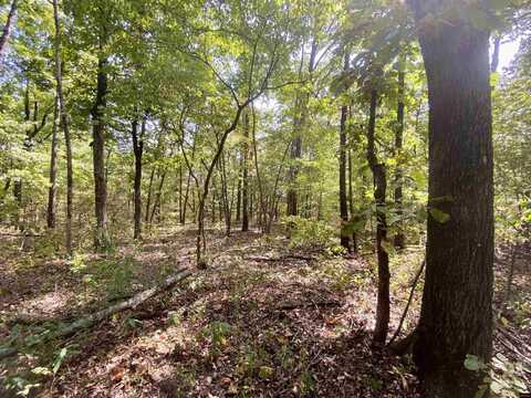 3616 CR 36, Clarkridge, AR 72623