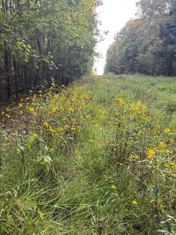 CR 427, Oxford, MS 38655