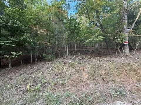 4ac. Old Mill Road, Mineral Bluff, GA 30559