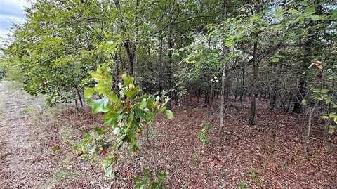 2 S 4531 Road, Vian, OK 74962