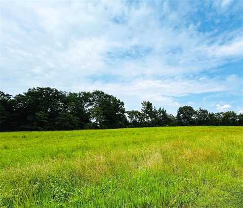1445 County Road 4450, Winnsboro, TX 75494