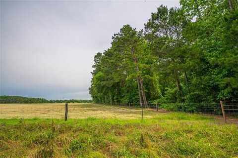 4206 Gilliam Ln, Naples, TX 75568
