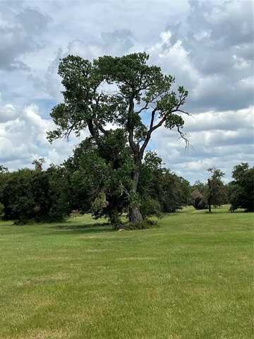 300 Chandler Road, Lipan, TX 76462