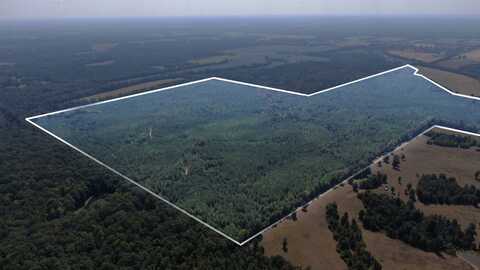 0 CR 320, Big Creek, MS 38914