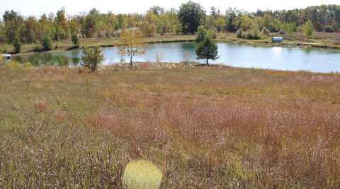 4132 Heath Rd, South Branch, MI 48761