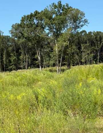 - Pettey Road, Forest, MS 39074