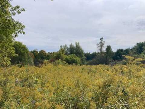 0 Link Rd, Rome, NY 13440