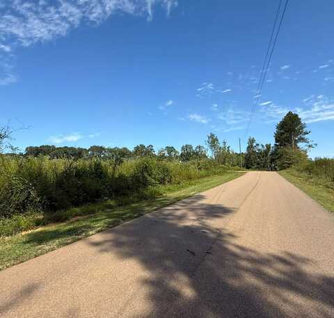 --- Pettey Road, Forest, MS 39074