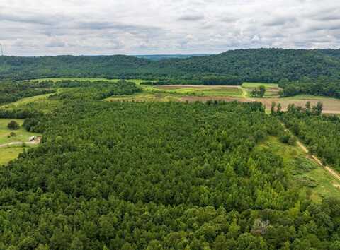 000 Double Pond Trail, Hayden, AL 35079