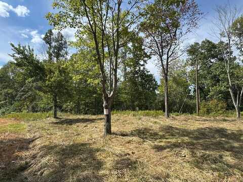 229 Cicerone Road, Gandeeville, WV 25243
