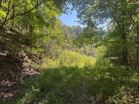 1877 Logan Branch Road, Burkesville, KY 42717