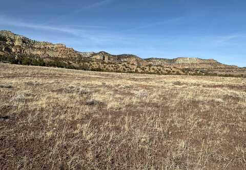 TBD V Road, Collbran, CO 81624