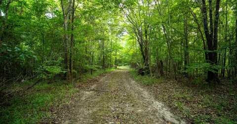 00 Holly Grove Meeks Rd, Cruger, MS 38924