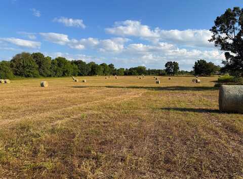 TBD State HWY F, Stotts City, MO 65756
