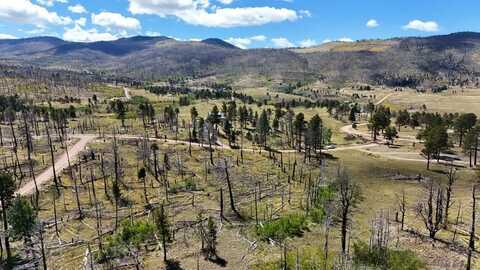 Laker Ln lot: 1131, Fort Garland, CO 81133