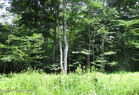 919 E Country Place Drive, Tobyhanna, PA 18466