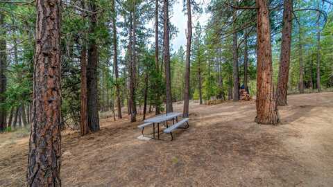 1470 Cherry Circle, Portola, CA 96122