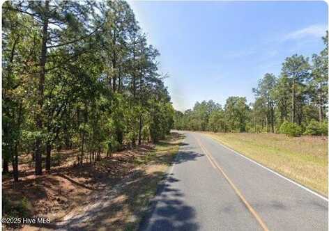 Lot 9 Flowers Road, Jackson Springs, NC 27281