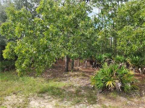 4400 N Deckwood Drive, Beverly Hills, FL 34465