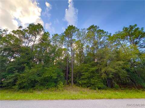 7962 N Hale Road, Citrus Springs, FL 34434