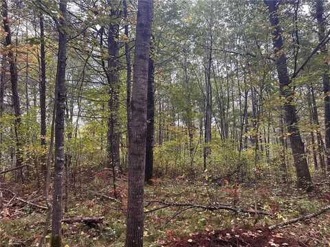 N Sabin Road lot: 3, Hayward, WI 54843