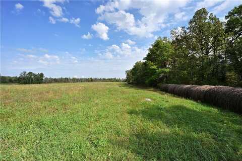 40 Acres County Hwy A, Ladysmith, WI 54848