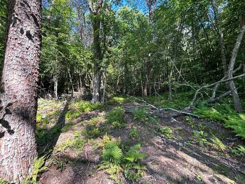 3970 Highway 68, Turtletown, TN 37391