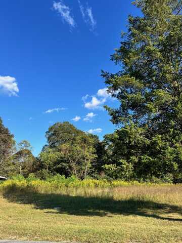 0 Pike RD, Montvale, VA 24122