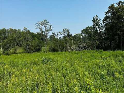 8 Pondview Trail, North Oaks, MN 55127