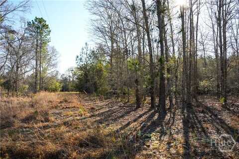 0 Clifton Road, Statesboro, GA 30458