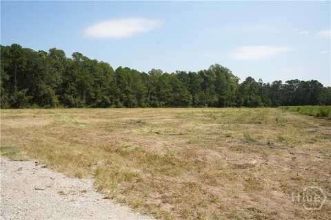 0 Clifton Road, Statesboro, GA 30458