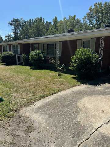 209 Peterson Lane, Manning, SC 29102