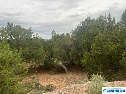 800 N Cheyenne Avenue, Silver City, NM 88061