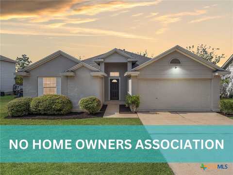 1820 Mason Creek Boulevard, Leander, TX 78641
