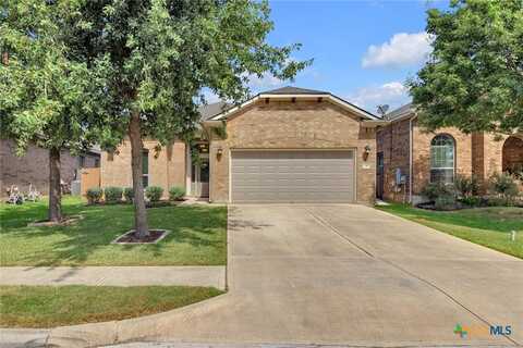 249 Pincea Place, San Marcos, TX 78666