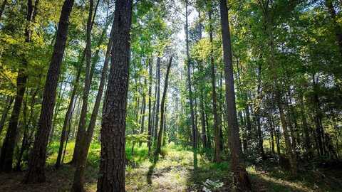 140 Elderberry Lane, Cairo, GA 39828