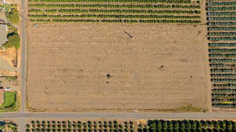 0 208, Strathmore, CA 93267
